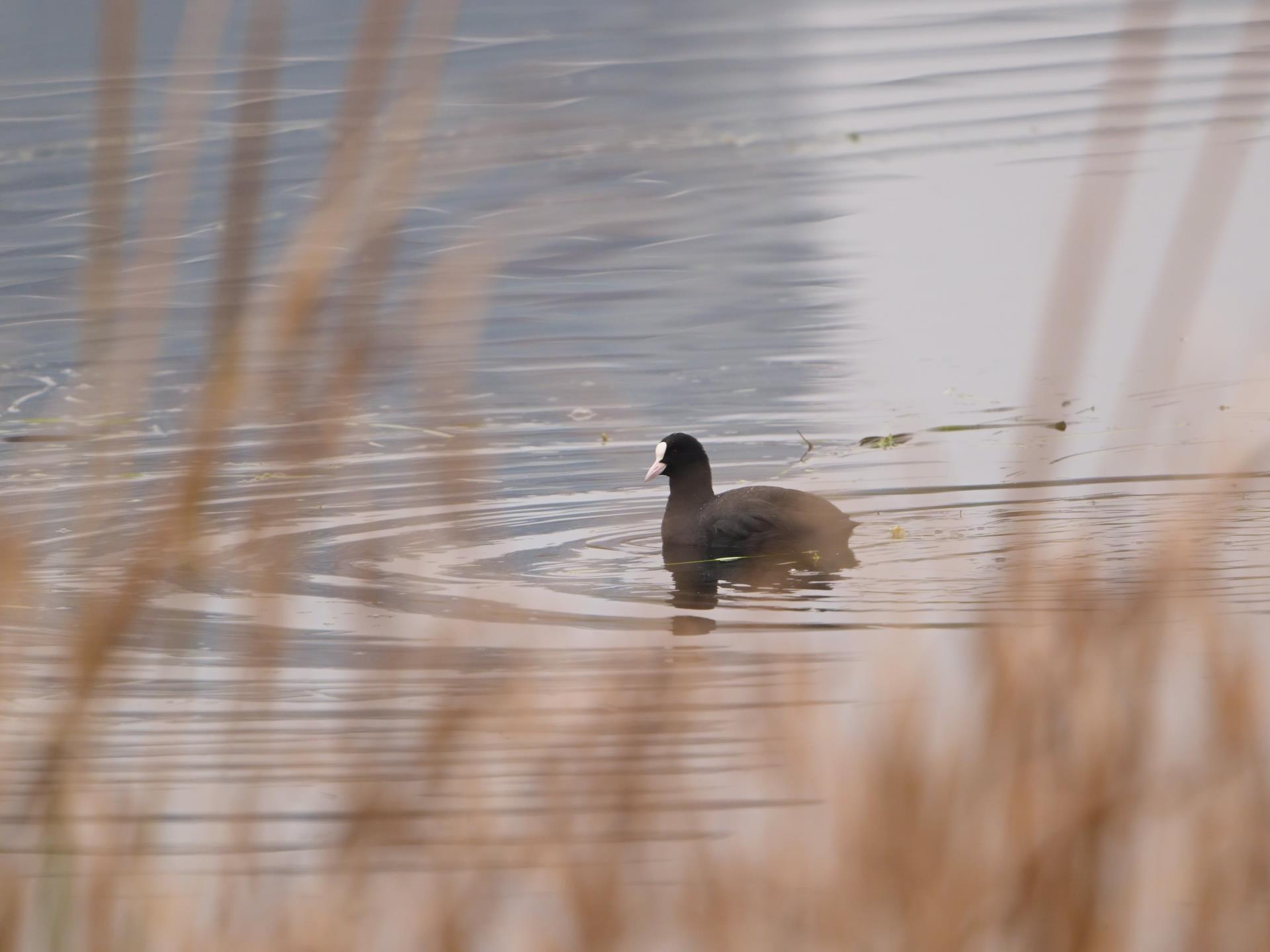 中国·太阳集团tyc86(股份有限公司)-Official website