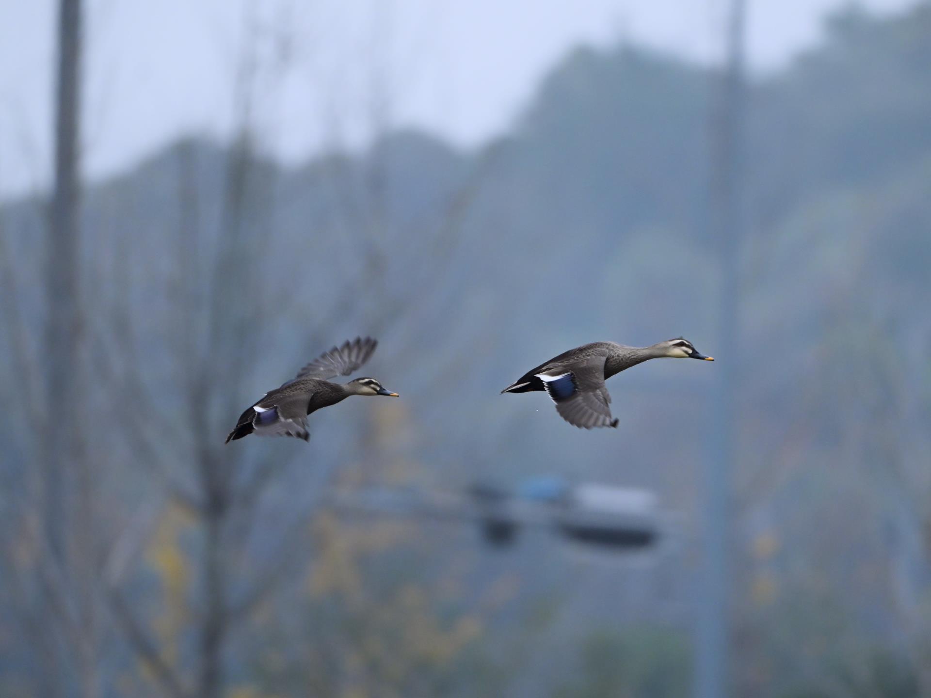 中国·太阳集团tyc86(股份有限公司)-Official website