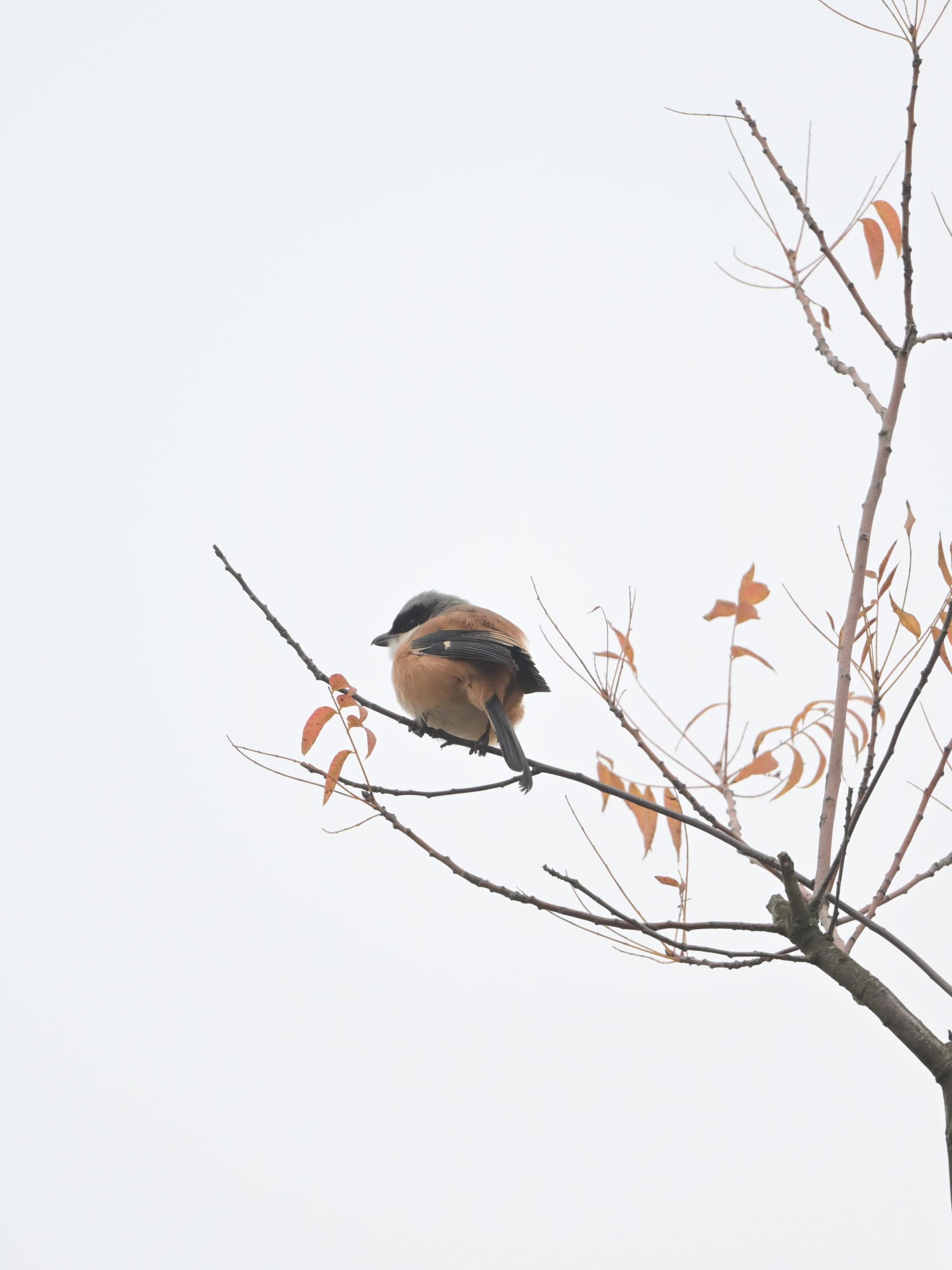 中国·太阳集团tyc86(股份有限公司)-Official website