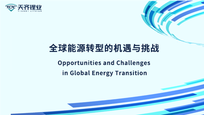 聚智蓉城|“全球能源转型的机缘与挑战”圆桌论坛圆满进行