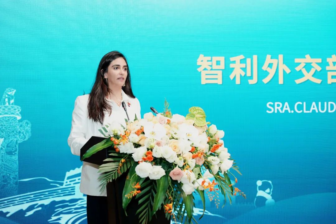 内容丰硕、硕果累累，中国（四川）—智利经贸投资合作论坛圆满进行